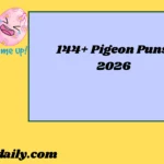 Pigeon Puns2026