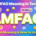 lmfao Meaning2026