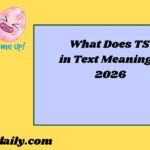 TS in Text Meaning2026