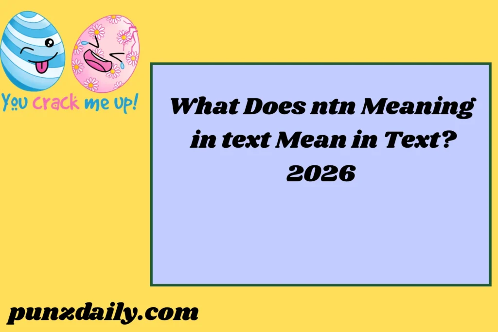 ntn Meaning2026