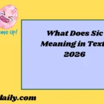 Sic Meaning2026