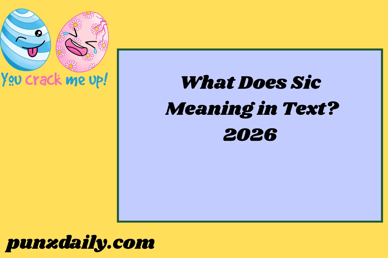 Sic Meaning2026