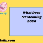 NT Meaning2026