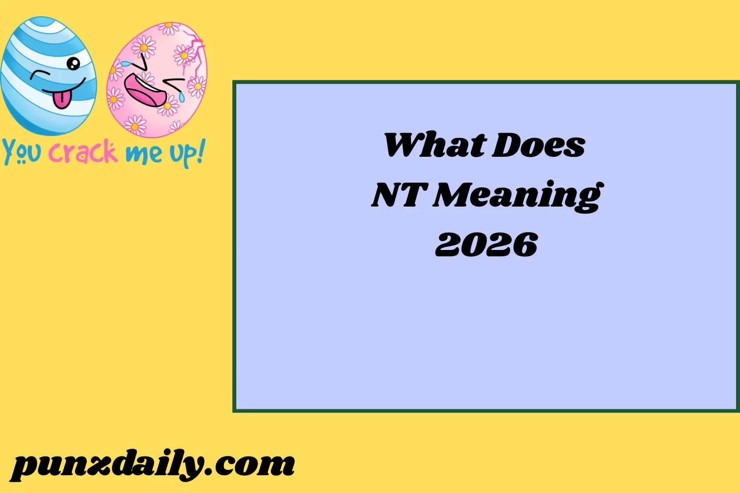 NT Meaning2026