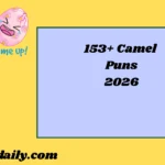 Camel Puns2026