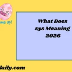 sys Meaning 2026