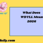 WDYLL Mean2026