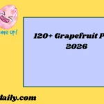 Grapefruit Puns2026