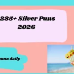 Silver Puns 2026