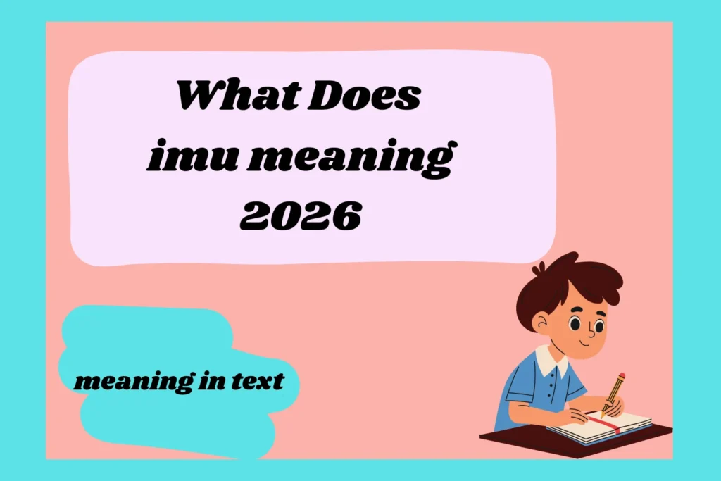 imu meaning 2026