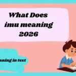 imu meaning 2026