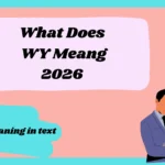 What Does WY Mean2026